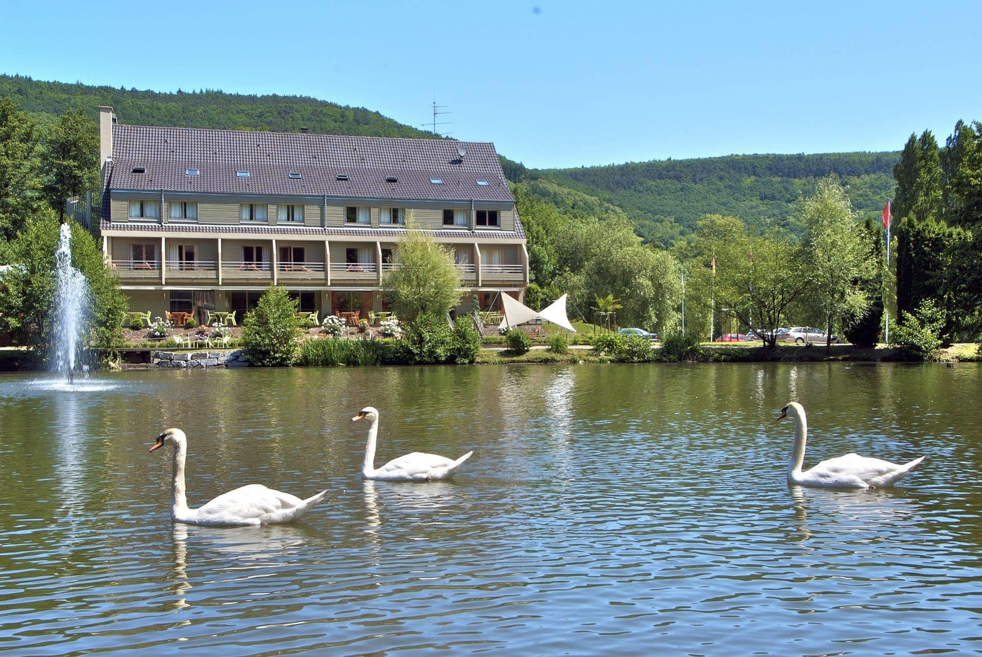 Hotel Les Rives Guebwiller Exteriér fotografie